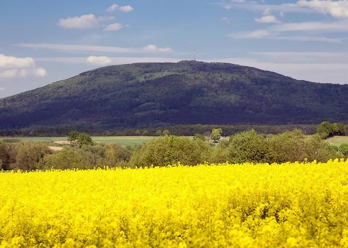 Suliland Pod Sleza בית נופש